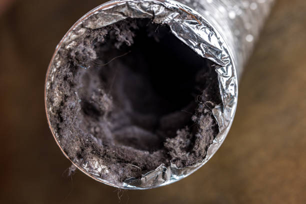 Best Professional Duct Cleaning Services  in West Jefferson, NC