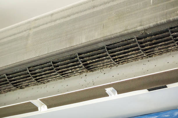 Best Best Air Duct Cleaning Near Me  in West Jefferson, NC